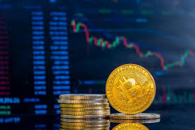 Вход на официальный сайт BitZamo Casino